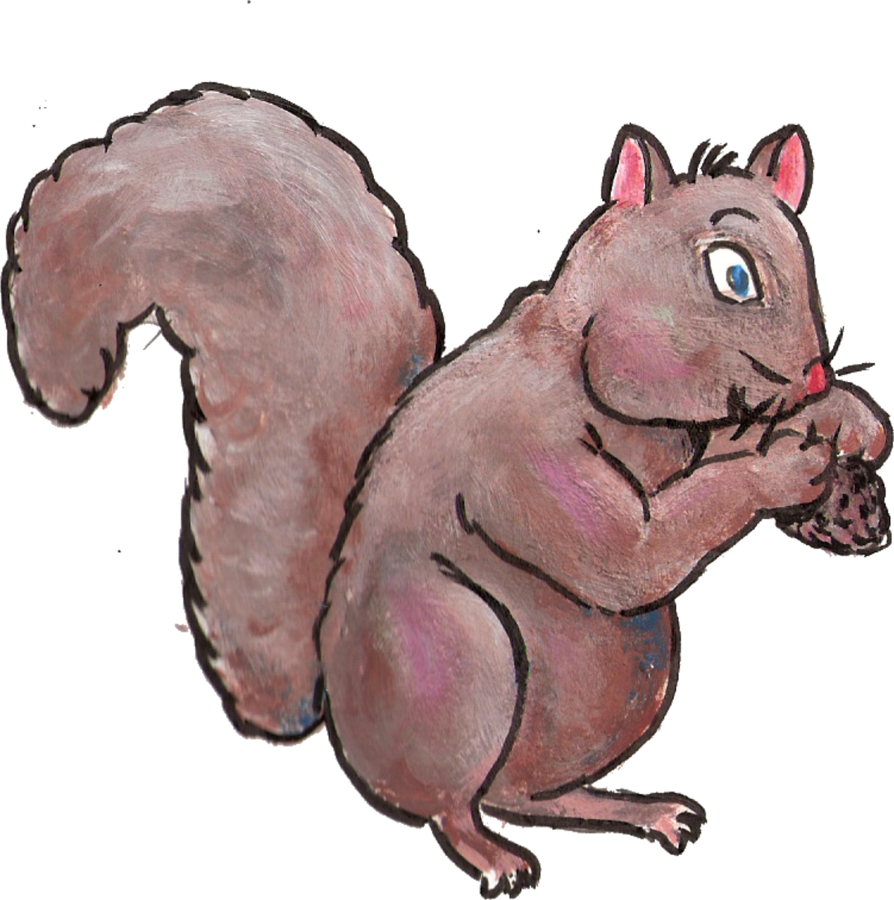 JDs Portfolio Image
