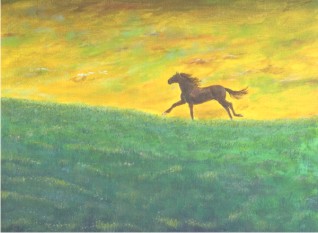 JDs Portfolio Image